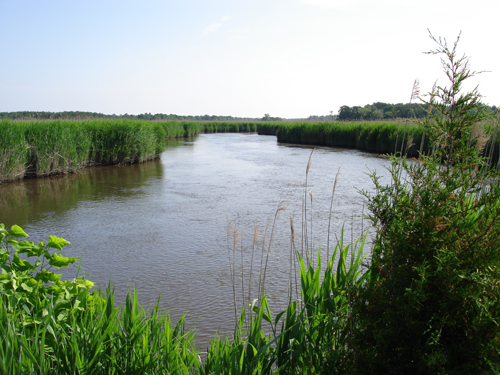 View of the Muskee Creek in N.J. Photo by DRBC.